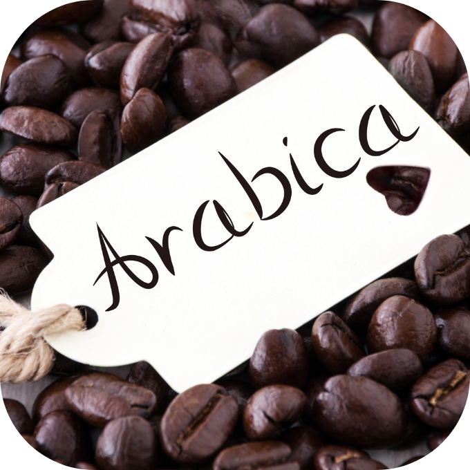 Cà phê Arabica