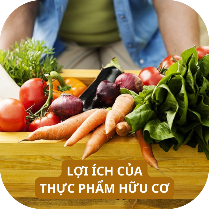 Ưu điểm của thực phẩm hữu cơ Kingfoodmart