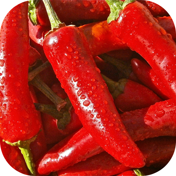 Ớt Cayenne Kingfoodmart