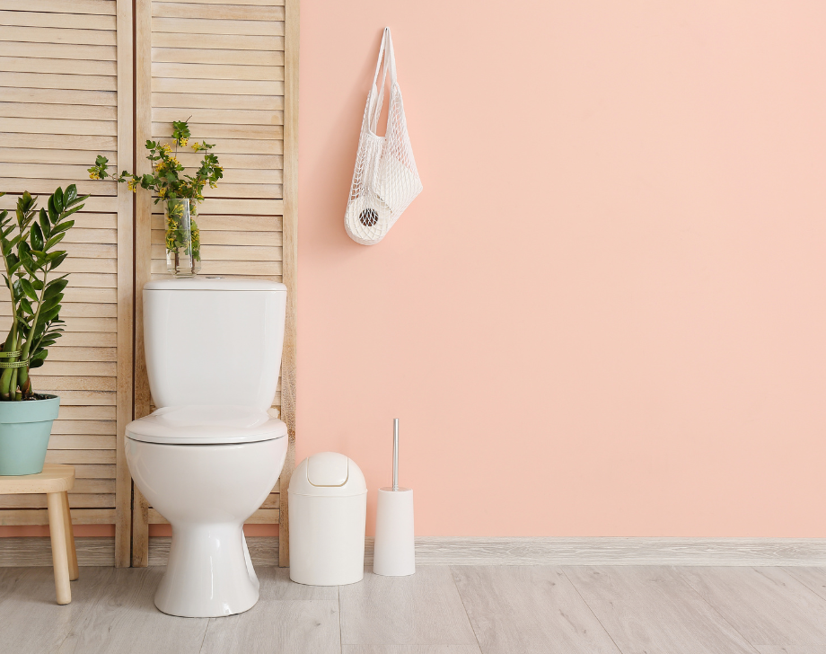 Khám phá bí quyết vệ sinh toilet hiệu quả