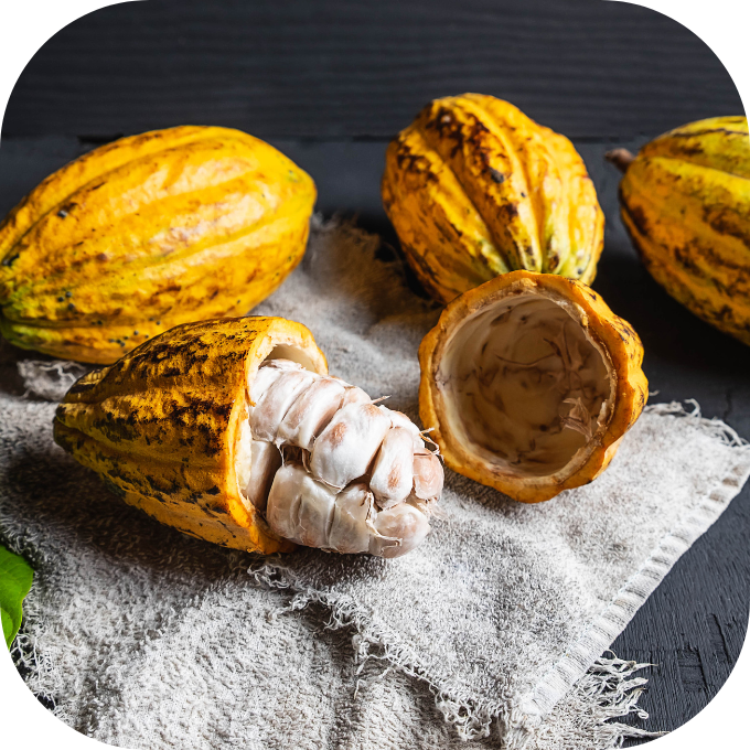 cacao