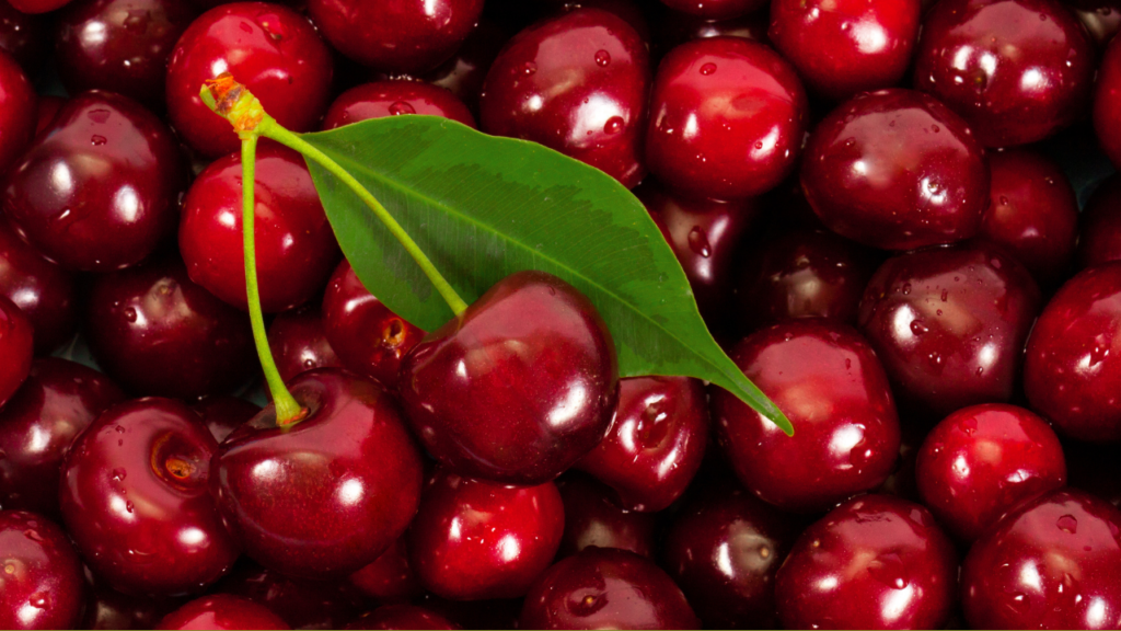 Cherry nhập khẩu Kingfoodmart