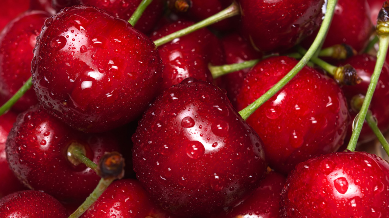 Hành trình từ vườn đến bàn ăn của cherry Úc