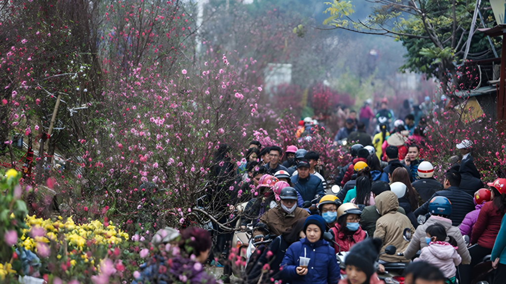 Thời tiết tết nguyên đán 2024 miền Bắc