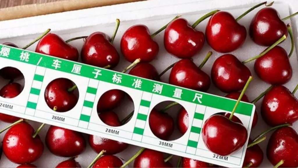 Size cherry Mỹ Kingfoodmart