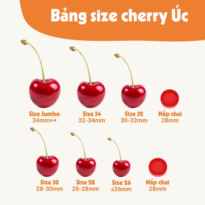 Size Cherry Úc Kingfoodmart