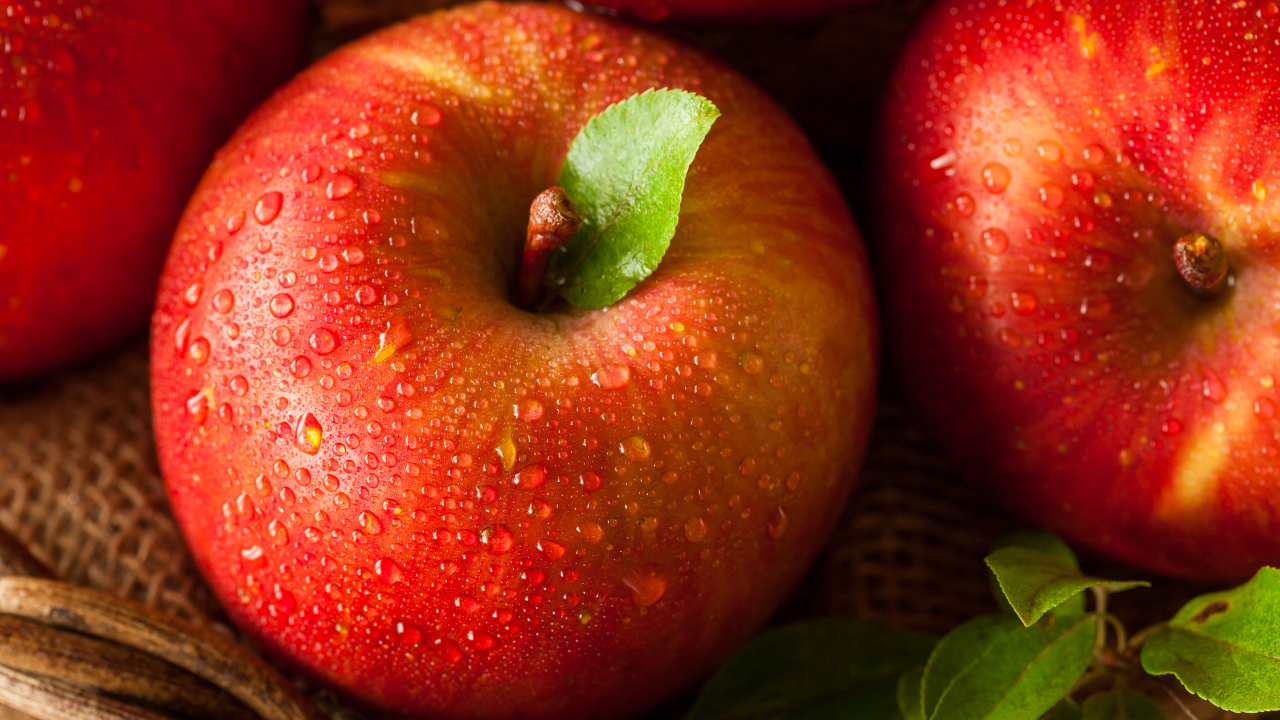 Táo Antarès – Giống táo có khả năng kháng bệnh