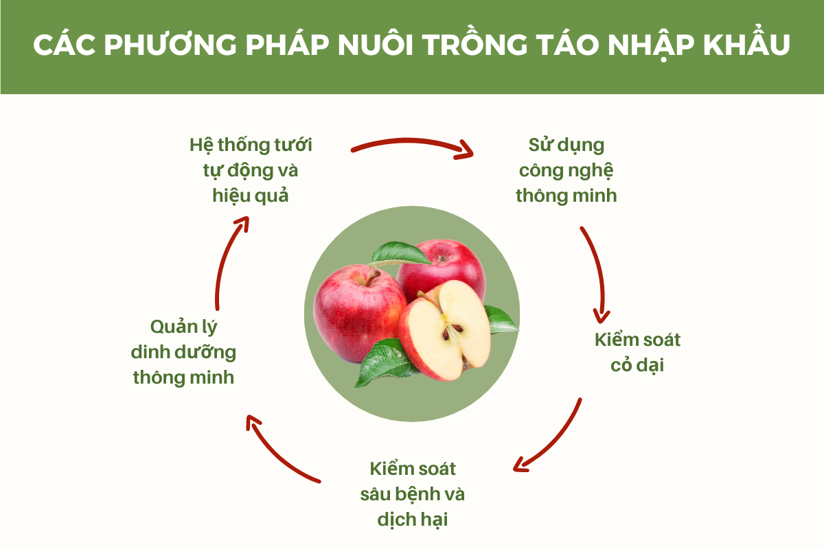 phuong-phap-trong-tao-nhap-khau