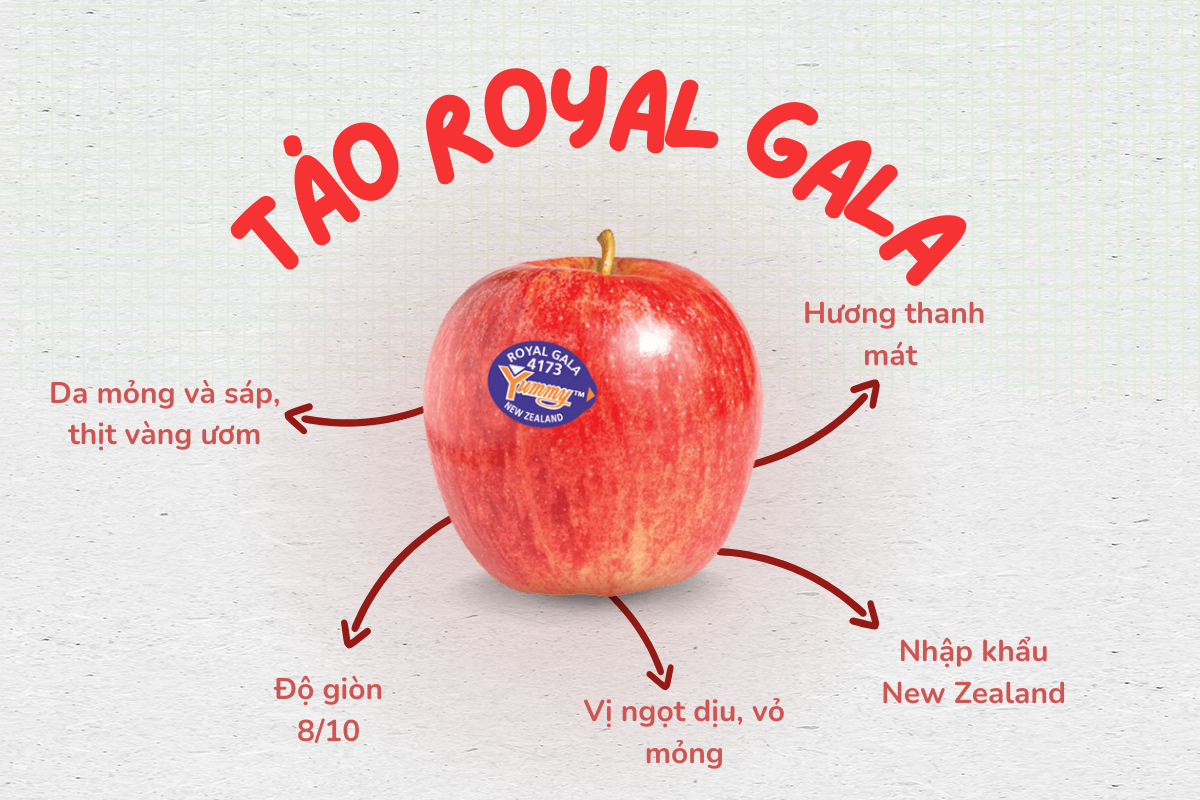 tao-royal-gala-new-zealand