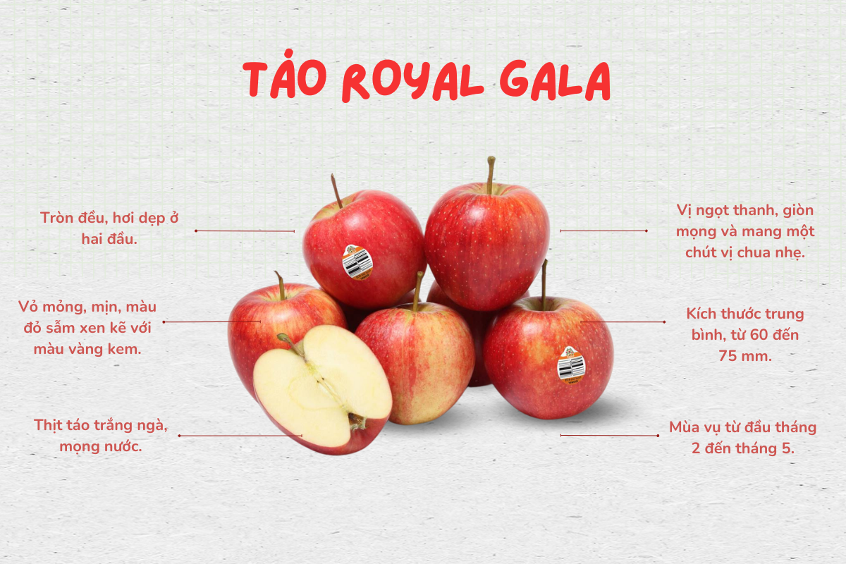 Câu chuyện về giống táo Royal Gala
