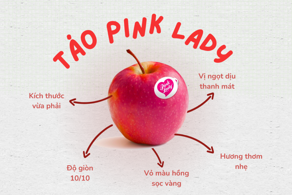 tao-pink-lady