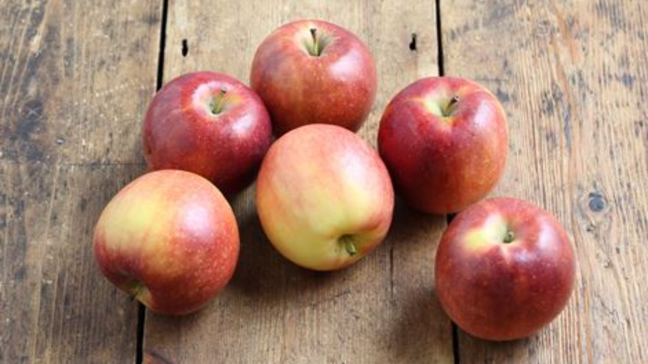Táo Crimson Gold – Giống táo có khả năng giữ nguyên hình dạng kể cả khi nấu nướng