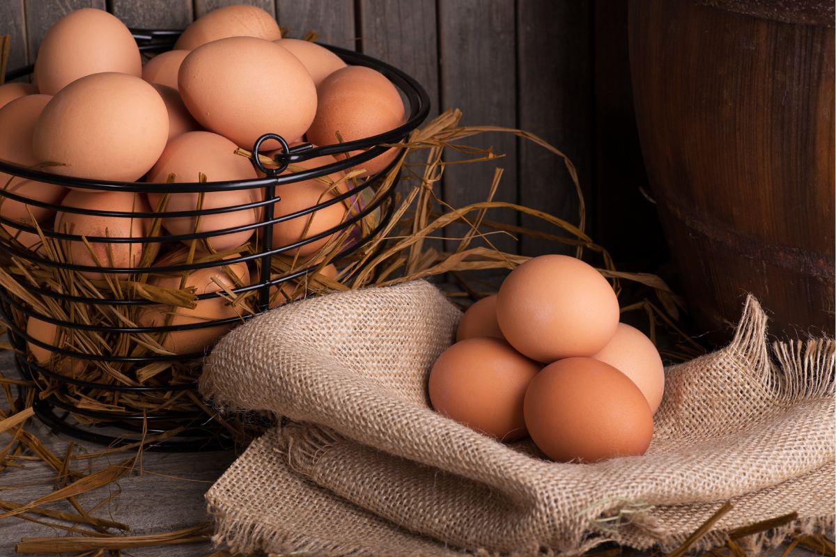 Điều gì sẽ xảy ra nếu bạn ăn trứng gà đều đặn mỗi ngày?