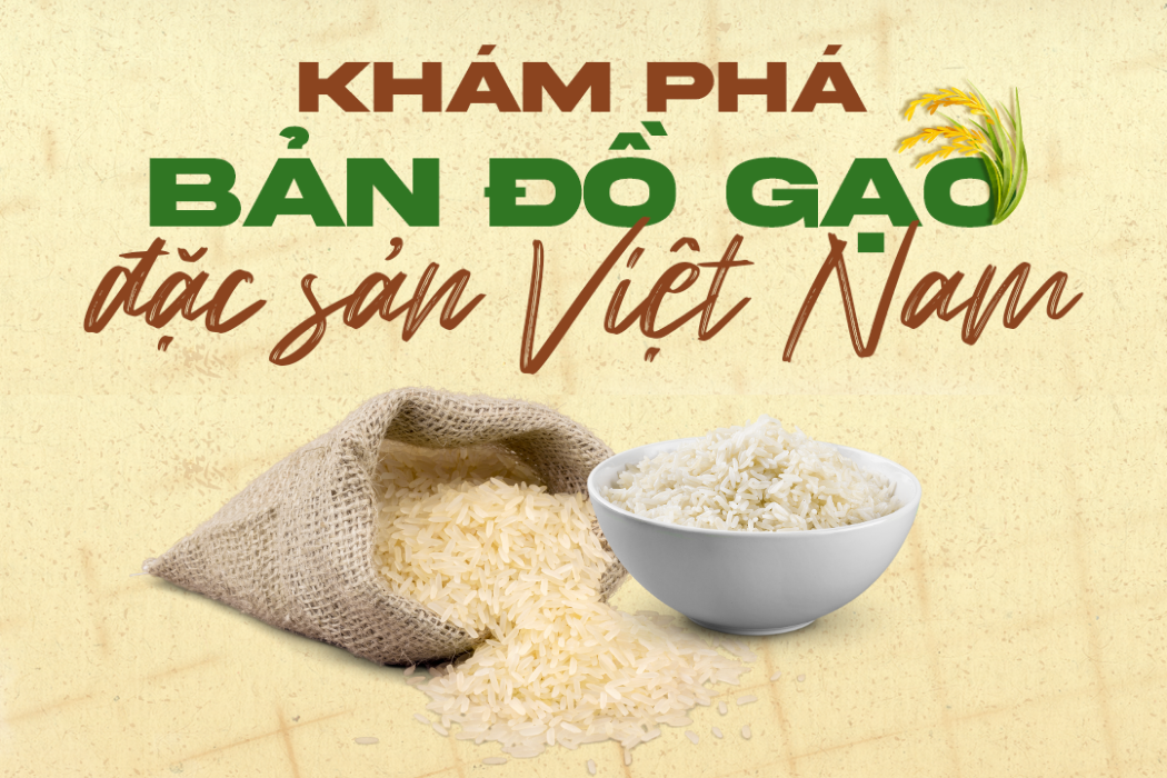 Khám phá bản đồ gạo đặc sản Việt Nam