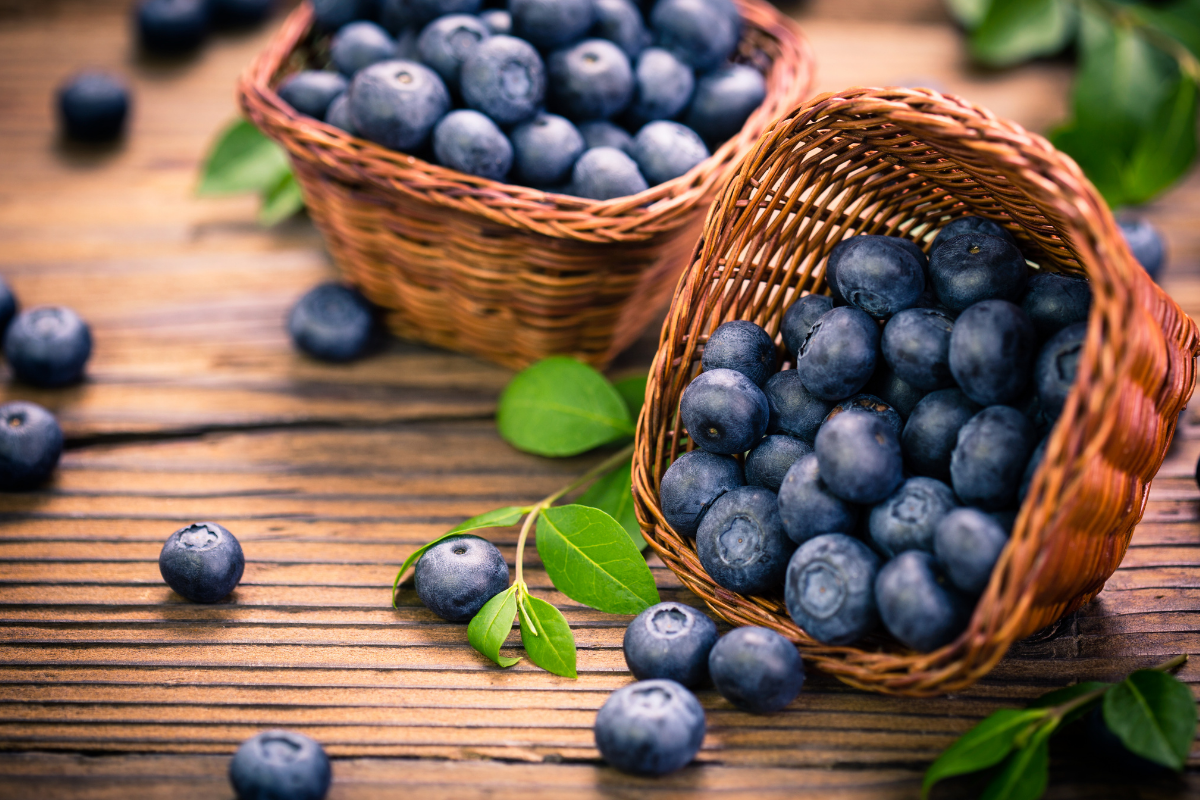 Những công dụng tuyệt vời của Blueberry