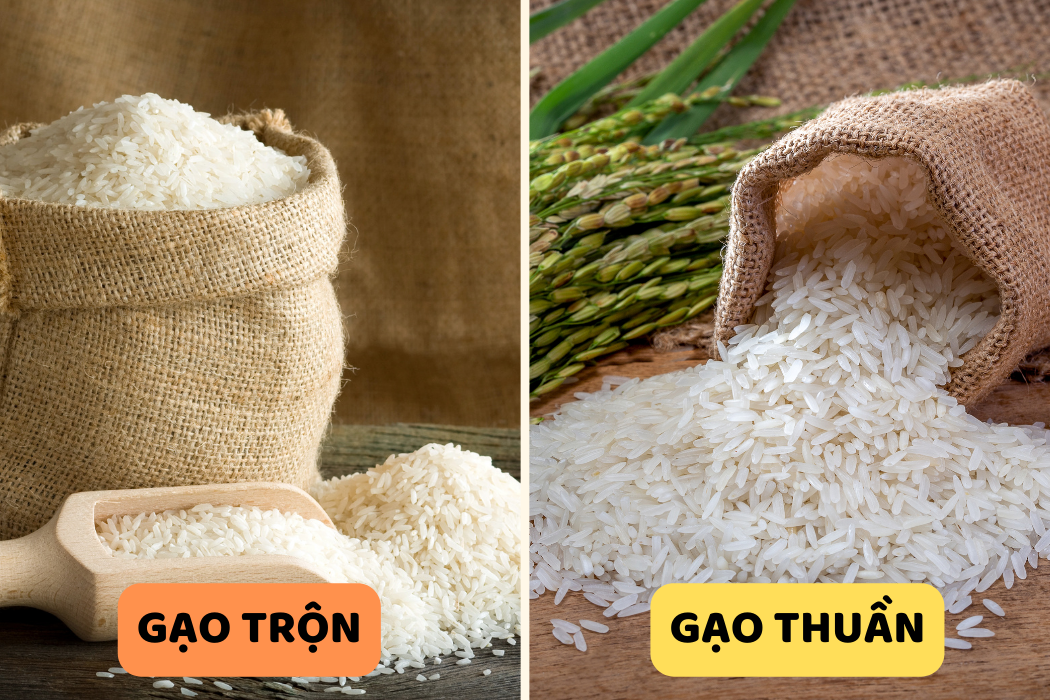 Phân Biệt Gạo Thuần và Gạo Trộn: Những Điều Cần Biết